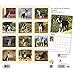 Boston Terrier Calendar 2019 Set - Deluxe 2019 Boston Terrier Wall Calendar with Over 100 Calendar Stickers (Boston Terriers Gifts, Office Supplies)