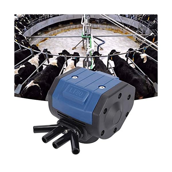 Mungitrice dei rifornimenti di Trattamento del Bestiame, Un pulsatore di 4 uscite Regolabile per la mungitrice…