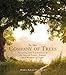 In the Company of Trees: Honoring Our Connection to the Sacred Power, Beauty, and Wisdom of Trees by Andrea Sarubbi Fereshteh