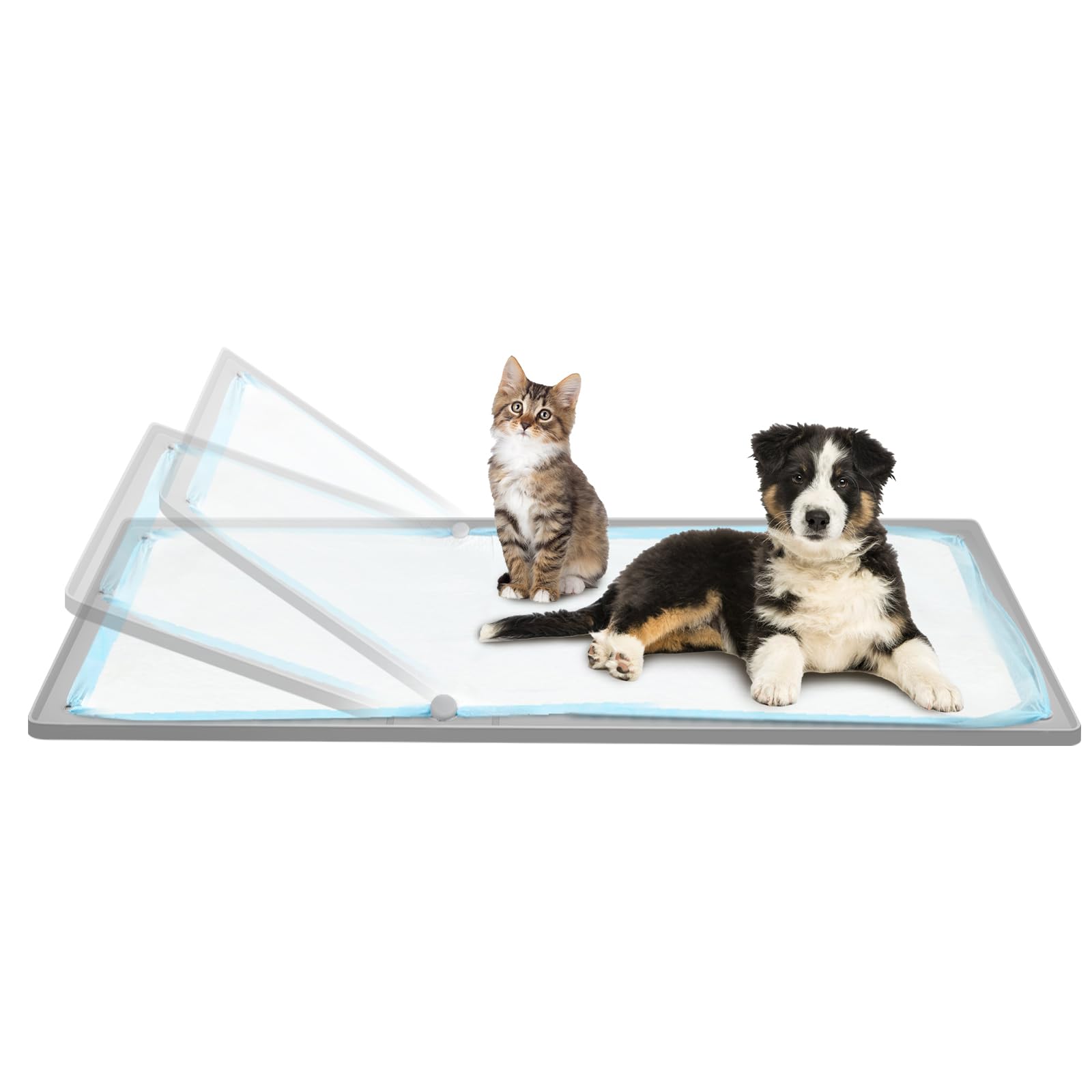 dog-nellis-auction
