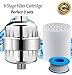 Shower Filter, Hy-Fung Universal Water Purifier with Replacement Cartridge, Teflon Tape, Remove Chlorine, Sediments, Purify Water, Boosts Skin and Hair Health(Chrome Plated Finish)