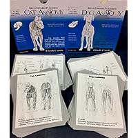 Lake Forest Anatomicals Educational Models Dog and Cat Anatomy Flashcards Combo-Pack of Two