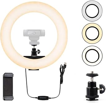 Webcam Licht Ringlicht Fur Logitech Webcam C920 C922x C930e Brio 4k C925e C922 C930 C615 1 4 Zoll Schraubenloch 30 5 Cm Amazon De Beleuchtung
