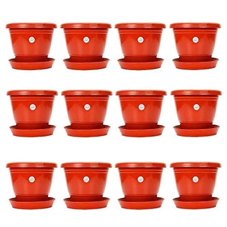 Kraft Seeds Plastic Pot with Bottom Plate, Red, 8 inch, Pack of 12