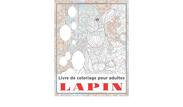 Lapin Livre De Coloriage Pour Adultes Archambault Faustine Amazon Ca Livres