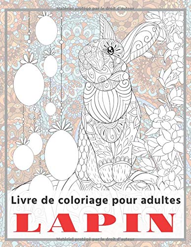 Lapin Livre De Coloriage Pour Adultes Archambault Faustine Amazon Ca Livres