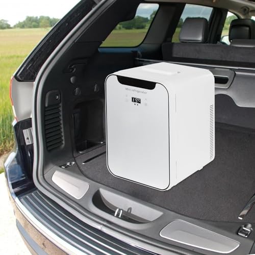 20L Mini Fridge with Temperature Control for Skincare, 220V Thermoelectric Cooler and Warmer for Drink Office Dorm Bedroom Car (20L)