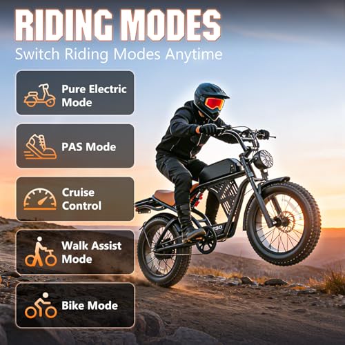 ASKGO Electric Bike for Adults, Peak 2500W Motor Retro E Bike, 50KM/H Top Speed/160KM, 48V 20Ah Battery, Keyless Smart Access, 20"x4" Fat Tires, Full Suspension, Off-Road Ebike for City Commuting