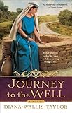 Journey to the Well: A Novel by Diana Wallis Taylor