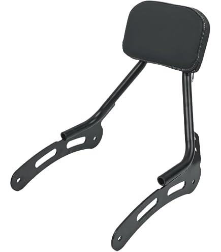 Motorcycle Sissy Bar With Luggage Rack For Indian Scout & Scout