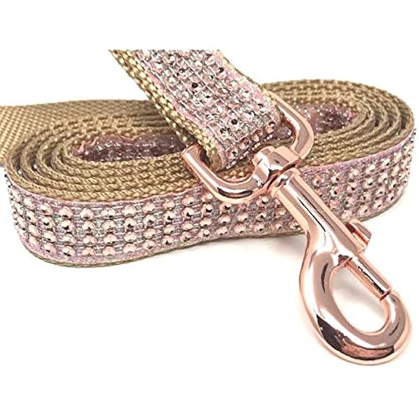 rose gold dog collar and leash