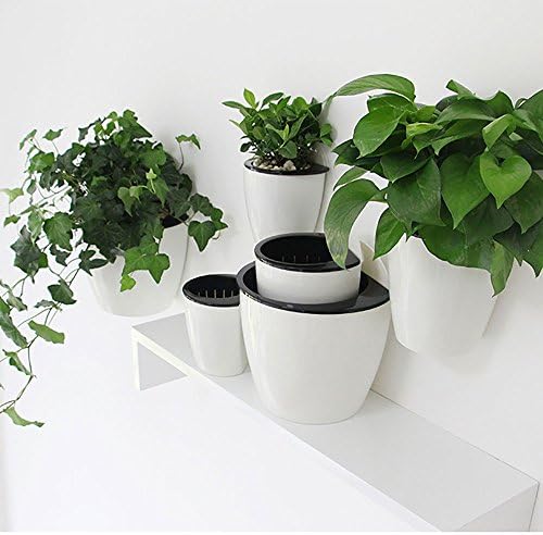 Gardening Multipurpose Creative Hanging Planter, Automatic Watering Flowerpot, Wall Mounted Plants Holder w/ Store Water Function?Perfect for Home or Office Decoration (Small?10.510.7cm?)