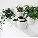 Sungmor Self Watering Wall Planter - Modern White & 3PC Pack & Large Size - Indoor Outdoor Vertical Flower Pot - Wall Mounted Window Hanging Pot - Water Storage Space Design Container
