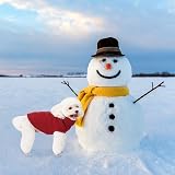 Mihachi Turtleneck Dog Jumper Cable Knit Winter Coat Leash Hole - 5 Sizes 7 view 8