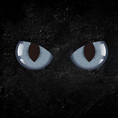 Ertch 2 pcs 3D Cat Eyes Simulation Reflective Decals Stickers Graphics Decor For Any Cars Vehicles Rearview Mirror Window Wall (gray)