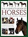 The Complete Book of Horses: Breeds, Care, Riding, Saddlery: A Comprehensive Encyclopedia Of Horse B by