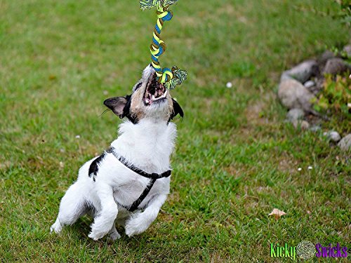CHEW-STOP-DENTAL Puppy Dog Pet Rope Toys Stops Small Dogs and Teething Puppies from Destroying Your Stuff (Set of 4)