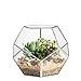 NCYP Small Silver Glass Geometric Terrarium for Succulents Air Plants, 6.89 x 6.89 x 5.9 Inches, Indoor Home Garden Planter Pot, Tabletop Decor Centerpiece, Handmade (Only Terrarium)