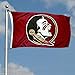 College Flags & Banners Co. Florida State Large 3x5 College Flag