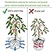 HYLONG Plant Grow Bags 30 litres Vegetable Planter Bag and 8 Gallons Potatoes Grow Bags for Potato Carrot, Planting Grow Bags – Plant Pots with Sturdy Nylon Handles (2 Pack/ 30 L)thumb 3