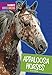 Appaloosa Horses (Favorite Horse Breeds) by