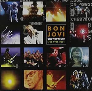 One Wild Night - Live 1985-2001