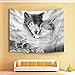 HVEST Wolf Tapestry Wild Predator Wolves Standing on Cliff Wall Hanging Animal Tapestries for Bedroom Living Room Dorm Wall Decor,60 W x 40 H inches