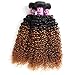 Soft Feel Hair 8A Brazilian Ombre Curly Hair 3 Bundles 100% Virgin Human Hair Extensions Two Tone 1B/30 Black to Blonde Ombre Brazilian Jerry Curly Hair Weaves 100g/pc (20 22 24)