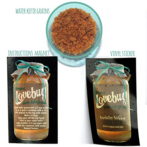 image for GIFTER'S PACK OF 6 | Water Kefir Grains by Lovebug | Live Organic Star