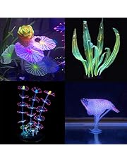 Korallendekor für Aquarien | Amazon.de Haustier