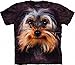 Yorkshire Terrier Face T-Shirt Size XL