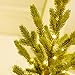 EAMBRITE 1.5’ Led Pine Needle Snow Tree Light – Pre-lit Pine Needle Tree with 36 Beautiful & Long-Lasting Warm White Christmas Lights – Lighted Artificial Tree with 12 Branc
