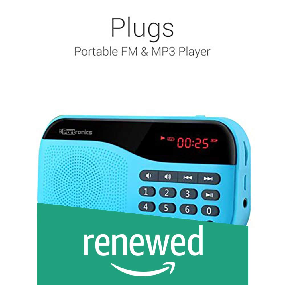 portronics fm radio