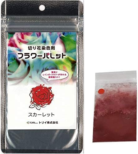 Amazon Co Jp フラワーパレット 切り花染色剤 自由研究 フラワーアレンジメント プレゼント スカーレット ホーム キッチン