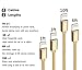 Miger Fast Charge Cable 4Pack 1Ft/3Ft/6Ft/10Ft Nylon Braided MFi Certified - 8 pins Connector Cables Compatible with iPhone X / 8/8 Plus / 7/7 Plus / 6 / 6s Plus / 5s / 5, iPad Mini / 4/3 (Gold)
