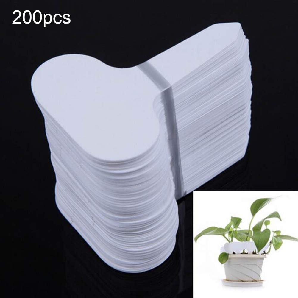 Yozhanhua - 200 etiquetas para plantas, accesorios de jardinería ...