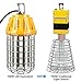 LEONLITE 100W LED Temporary Work Light Linkable, UL-Listed Jobsite Lighting, Plug-n-Play Outdoor Corded Portable Construction Lights with Metal Guard & Hook, Ultra Bright High Bay Fixture