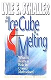 The Ice Cube is Melting: What is Really at Risk in United Methodism? by 