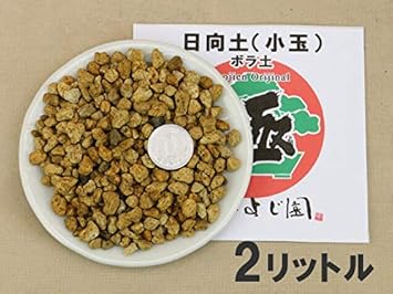 Amazon 日向土 ボラ土 小玉 2リットル 完全ミジン抜 盆栽 用土 用土