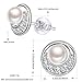 J.Rosée Jewelry Gifts Packing 925 Sterling Silver Cubic Zirconia Moon Freshwater Pearl Stud Earrings for Women
