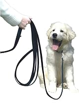 Company of Animals Recall Line 5m Dog Training Equipment view 2