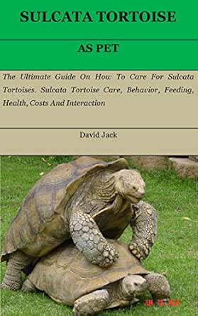 african tortoise size