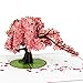 Paper Love Pop Up Card, Summer Collection, 3D Popup Greeting Card (Cherry Blossom)