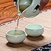 XDOBO Imported Vintage Chinese & Japanese Style Porcelain Handmade Kung Fu Tea Set, 10-pack (Green) (Green) (Green)