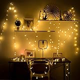 Hollosport 33ft 100 Bulbs Plug in LED Warm Light String for Party & Christmas, 8 Modes