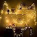 Hollosport 33ft 100 Bulbs Plug in LED Warm Light String for Party & Christmas, 8 Modes