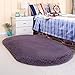 Noahas Ultra Soft Fluffy Bedroom Rugs Kids Room Carpet Modern Shaggy Area Rugs Home Decor 2.6' X 5.3', Taro Purple