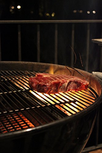 Slow-N-Sear Slow-N-Sear