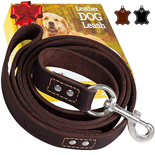 ADITYNA Leather Dog Leash 6 Foot x 3/4 inch - Soft and Strong Leather Leash for Large and Medium Dogs - Dog Training Leash (Brown)