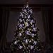 SOLPEX Halloween String Lights, 15ft 40 Purple Bats Lights Halloween Decoration Lights with 2 Modes, Battery Powered